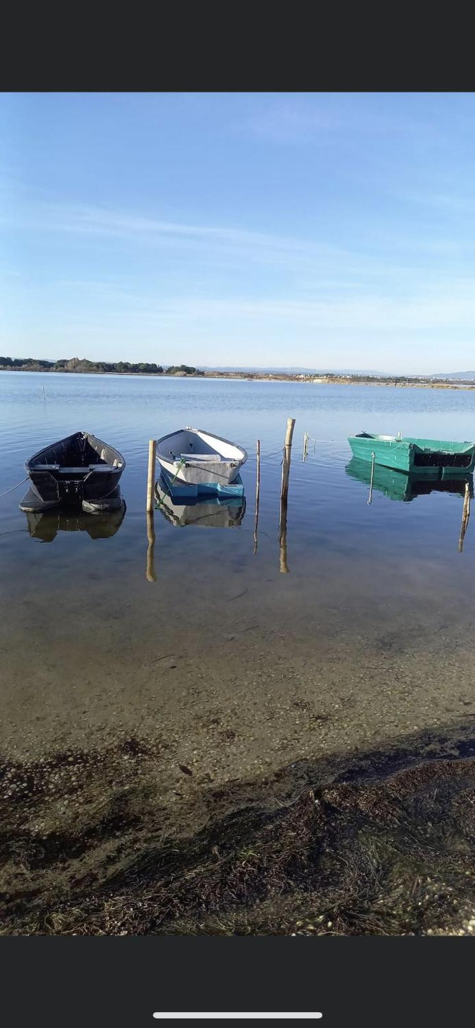 Studio Climatise Proche De Montpellier Et Des Plages Villeneuve-lès-Maguelone Zewnętrze zdjęcie